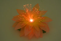 Flashing Flower