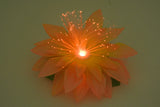 Flashing Flower