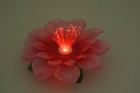 Flashing Flower