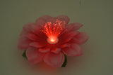Flashing Flower