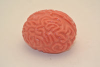 Brain Splat Ball