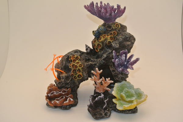 Aquarium Coral